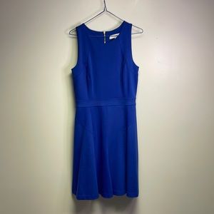 LOFT Sleeveless Dress
